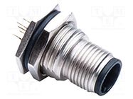 connector MSAS-04PMMP-SF8001 AMPHENOL LTW