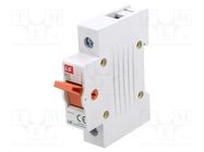 Switch-disconnector; Poles: 1; for DIN rail mounting; 125A; IP20 LS ELECTRIC