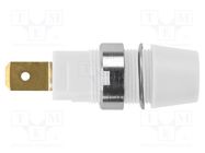 Socket; 4mm banana; 32A; 1kV; white; gold-plated; screw; insulated SCHÜTZINGER