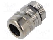 Cable gland; without nut; PG21; IP68; brass; Entrelec TE Connectivity