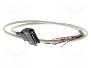 Accessories: Connection lead; Standard: Omron; 1S; signal; 1m 