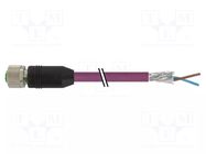 Cable: for sensors/automation; M12; PIN: 2; straight; 3m; plug; 4A MURRELEKTRONIK