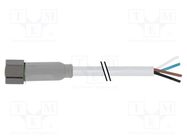 Connection lead; M8; PIN: 4; straight; 7.5m; plug; 30VAC; 7014; PVC MURR ELEKTRONIK