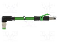 Connecting cable; 7000; IP20,IP67; 50VAC; 60VDC; 4A; 1.5m; PIN: 4 MURR ELEKTRONIK