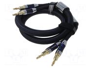 Cable; banana plug x2,both sides; 1.5m; Plating: gold-plated VENTION