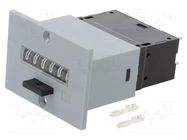Counter: electromechanical; pulses; 999999; Resetting: manual KÜBLER
