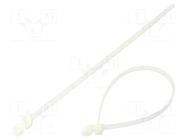 Cable tie; with fixing lugs; L: 305mm; W: 7.6mm; natural; polyamide BM GROUP