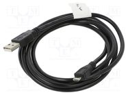 Cable; USB 2.0; USB A plug,USB B micro plug; gold-plated; 1.8m LANBERG