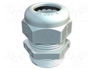 Cable gland; M12; 1.5; light grey OBO BETTERMANN