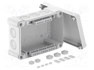 Enclosure: junction box; X: 202mm; Y: 286mm; Z: 126mm; polycarbonate OBO BETTERMANN