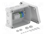 Enclosure: junction box; X: 191mm; Y: 241mm; Z: 126mm; polycarbonate OBO BETTERMANN