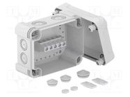 Enclosure: junction box; X: 151mm; Y: 167mm; Z: 87mm; polycarbonate OBO BETTERMANN