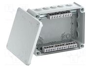 Enclosure: junction box; X: 190mm; Y: 240mm; Z: 95mm; IP66 OBO BETTERMANN