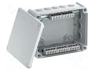 Enclosure: junction box; X: 190mm; Y: 240mm; Z: 95mm; IP66; T 250 OBO BETTERMANN