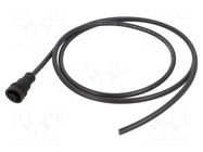 Cable: for sensors/automation; PIN: 4; Len: 2m; plug; 400V; 12A; IP67 BINDER