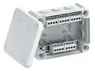 Enclosure: junction box; X: 117mm; Y: 151mm; Z: 67mm; IP66; T 100 OBO BETTERMANN