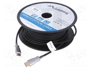 Cable; HDMI 2.0; HDMI plug,both sides; PVC; Len: 30m; black LANBERG