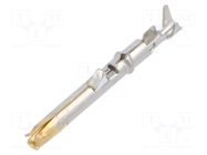 Contact; female; 1.6mm; gold-plated; 0.14÷0.5mm2; 26AWG÷20AWG AMPHENOL