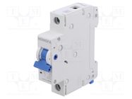 Circuit breaker; 230/400VAC; Inom: 10A; Poles: 1; Charact: C; 10kA HONGFA RELAY