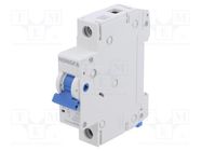 Circuit breaker; 230/400VAC; Inom: 10A; Poles: 1; Charact: B; 6kA HONGFA RELAY