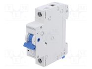 Circuit breaker; 230/400VAC; Inom: 40A; Poles: 1; Charact: B; 6kA HONGFA RELAY