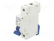 Circuit breaker; 10A; Poles: 1; for DIN rail mounting; Charact: B QOLTEC