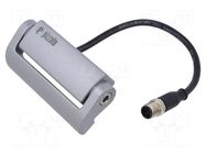 Safety switch: hinged PIZZATO ELETTRICA