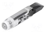 LED lamp; white; T5,5; 48VDC; 48VAC; No.of diodes: 1 EAO