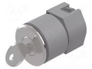 Switch: rotary with key; 30mm; Stabl.pos: 1; silver; none; IP65 EAO