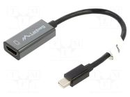 Adapter; DisplayPort 1.2,HDMI 1.3b; 0.2m; Support: 1080p,FullHD LANBERG