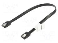 Cable: SATA; SATA plug,both sides; 0.3m; black; Core: Cu; 26AWG LANBERG