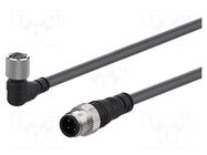 Cable: for sensors/automation; PIN: 4; 2m; Wire colour: grey AUTONICS