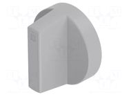 Knob; grey; plastic; Ø18mm EAO