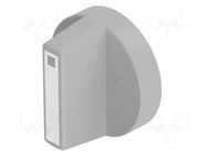 Knob; Actuator colour: white; plastic; Ø18mm; Body: grey EAO