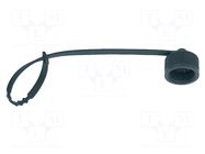 connector 81 077 000 000 BINDER