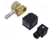 Electromagnetic valve; G 1/2"; brass; FKM; Valve: 2/2 NC; 24VDC AIGNEP