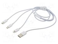 Cable; High Speed,USB 2.0; 1m; white; 3.5A BASEUS