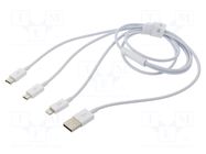 Cable; High Speed,USB 2.0; 1m; white; 3.5A BASEUS