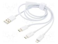 Cable; High Speed,USB 2.0; 0.5m; white; 3.5A BASEUS