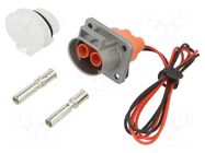 Connector: DC supply; female; 60A; 1kV; PIN: 2; IP2X,IP67; orange AMPHENOL GEC