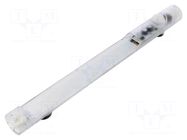 LED lamp; IP20; 100÷240VAC; 5W; 400lm; 6000K; magnet; -30÷60°C; 025 STEGO