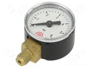 Manometer; 0÷6bar; G 1/8",bottom connection; 40mm; Temp: -20÷60°C PNEUMAT