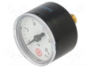 Manometer; 0÷25bar; 40mm; non-aggressive liquids,inert gases PNEUMAT