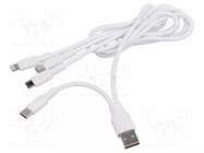 Cable; USB 2.0; nickel plated; 1.2m; white; 10W AKYGA