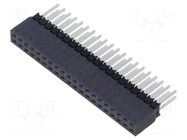 Connector: pin strips; socket; male; PIN: 40; straight; THT; 2.54mm SAMTEC