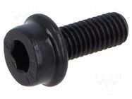 Screw; with flange; M5x12; 0.8; Head: cheese head; hex key; HEX 4mm BOSSARD