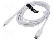 Cable; Apple Lightning plug,USB C plug; nickel plated; 2m; white VENTION