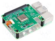 Accessories: expansion board; Comp: Hailo-8L accelerator; 26TOPS RASPBERRY PI