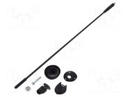 Antenna; car top; 0.41m; AM,FM; Alfa Romeo,Fiat,Lancia MTA