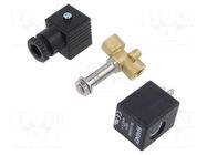Electromagnetic valve; G 1/4"; brass; FKM; Valve: 2/2 NC; 24VDC AIGNEP